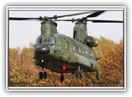 2010-10-29 Chinook RNLAF D-101